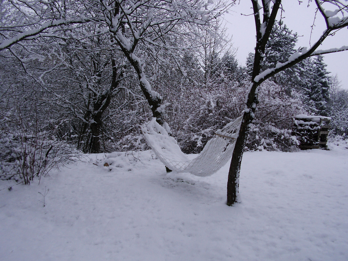 Plötzlich Winter