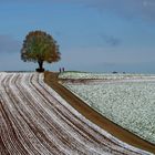 ... plötzlich Winter