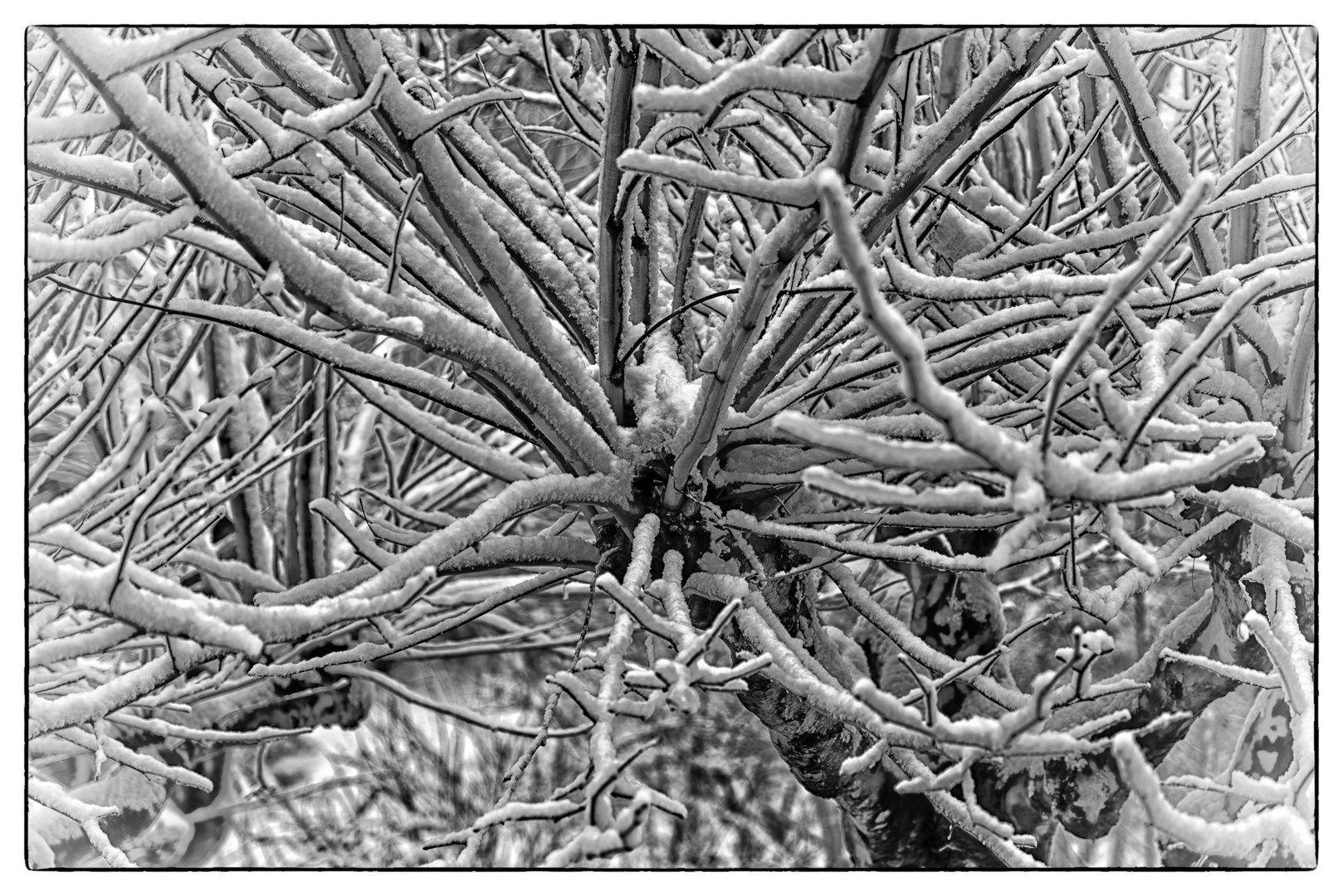 Plötzlich Winter vor dem Fenster