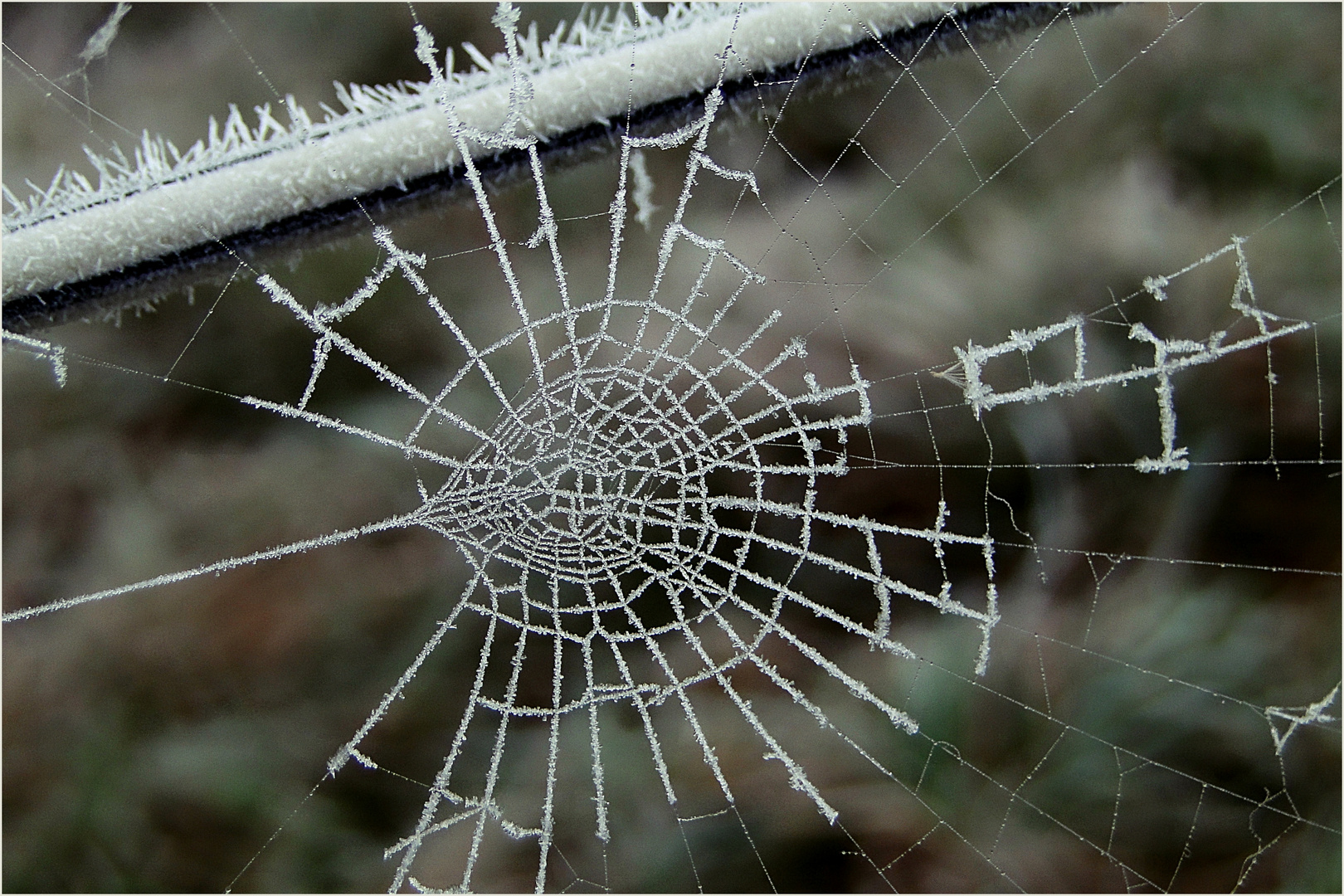 Plötzlich wurde es Winter