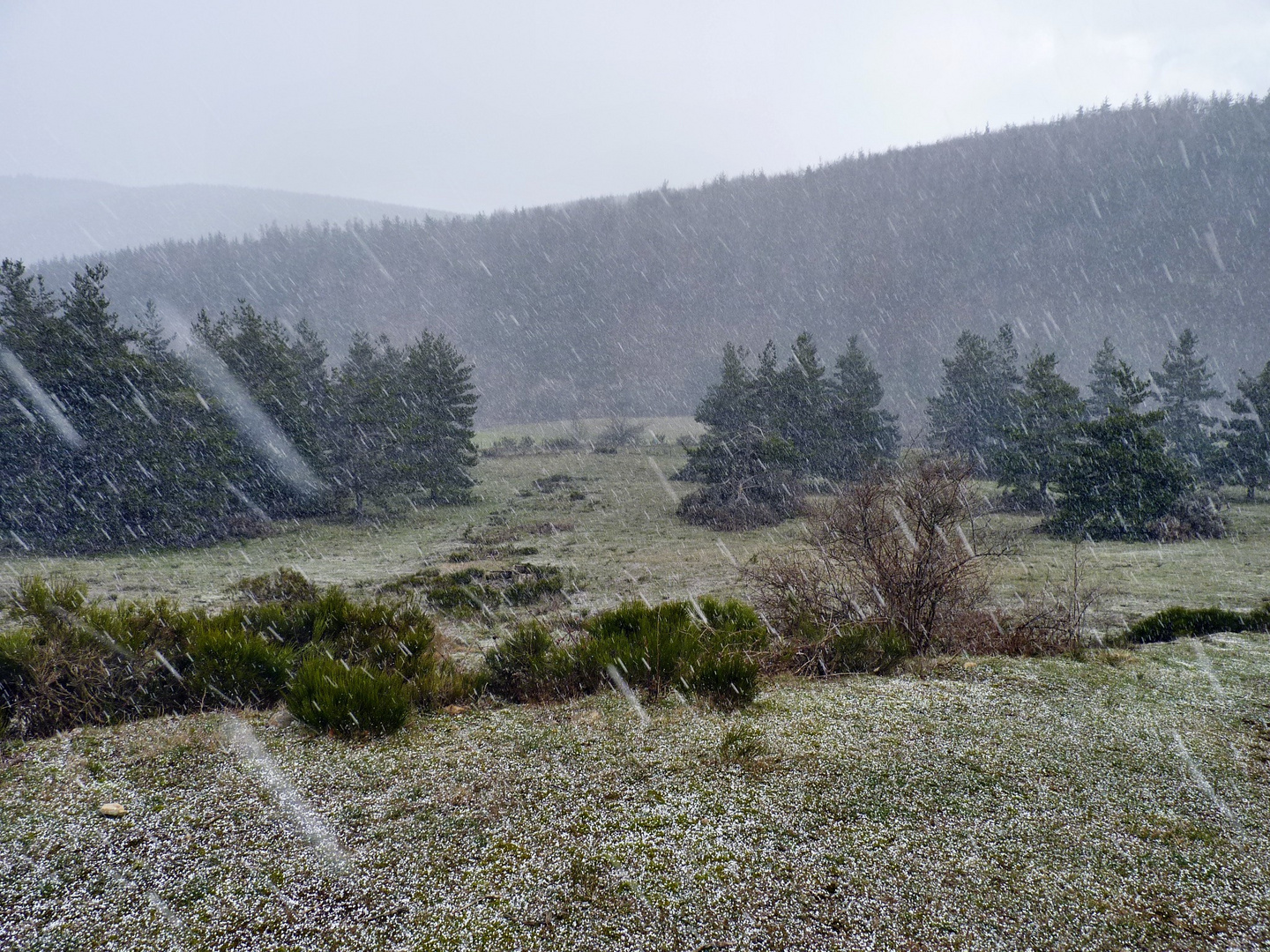 Plötzlicher Hagel bei La Bastide Puylaurent