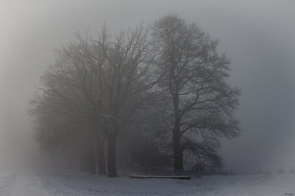 plötzlicher Nebel