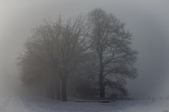 plötzlicher Nebel