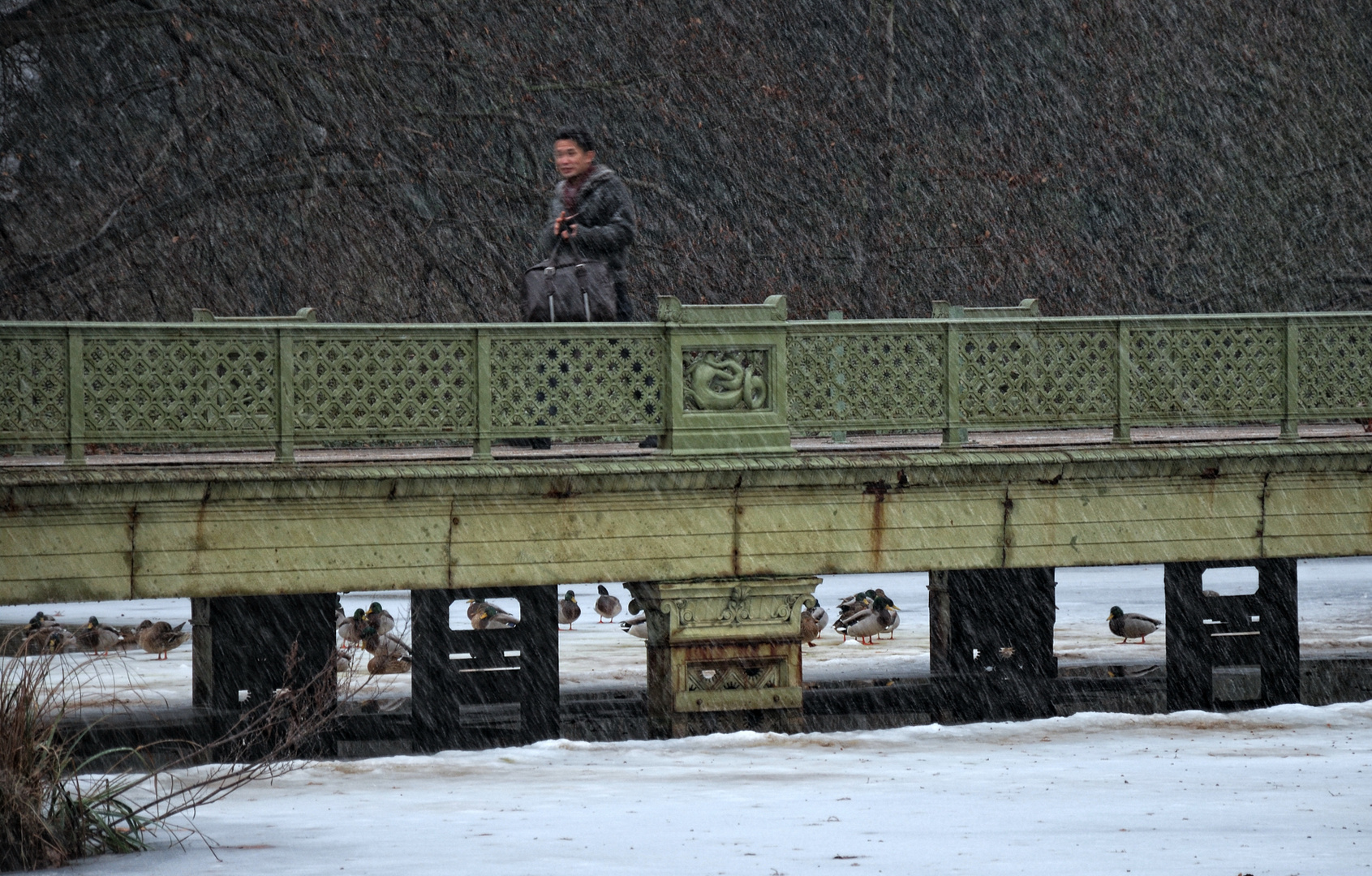 Plötzlicher Schneefall