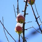 Plötzlicher Wintereinbruch