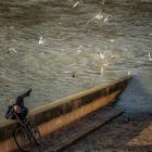 Plongeon dans la lecture