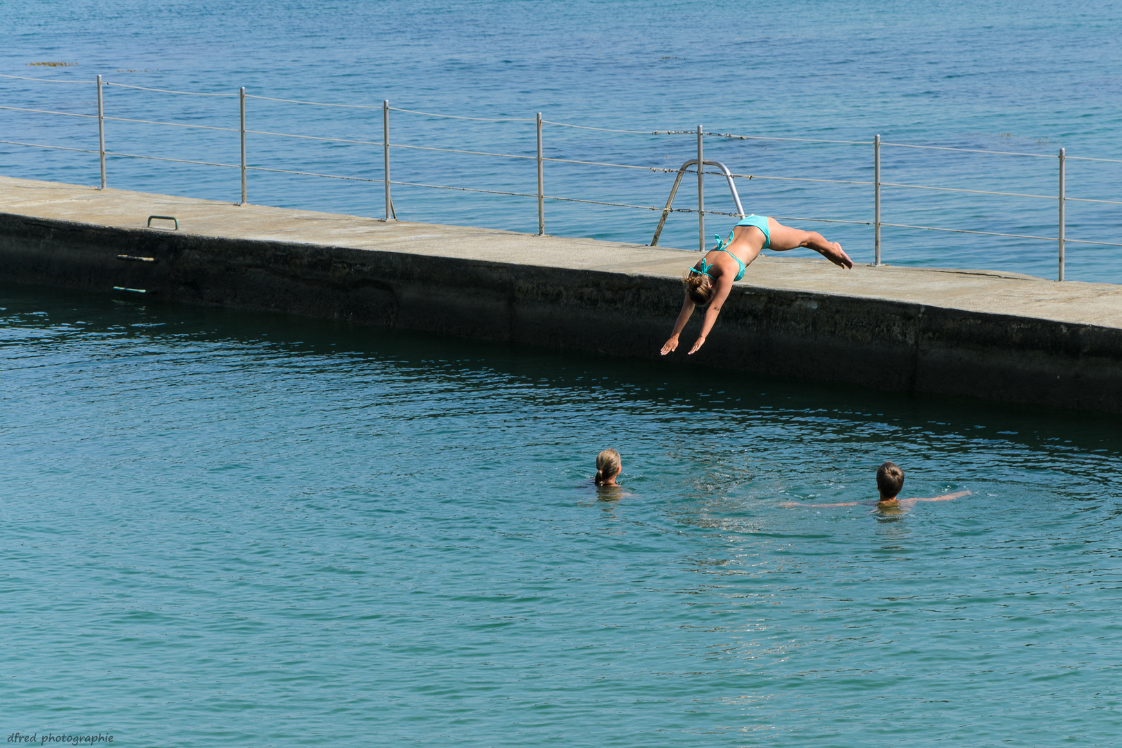 plongeon