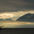 Plonger sous la brume