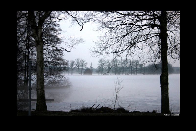 -Plothen- Nebel im Land der 1000 Teiche