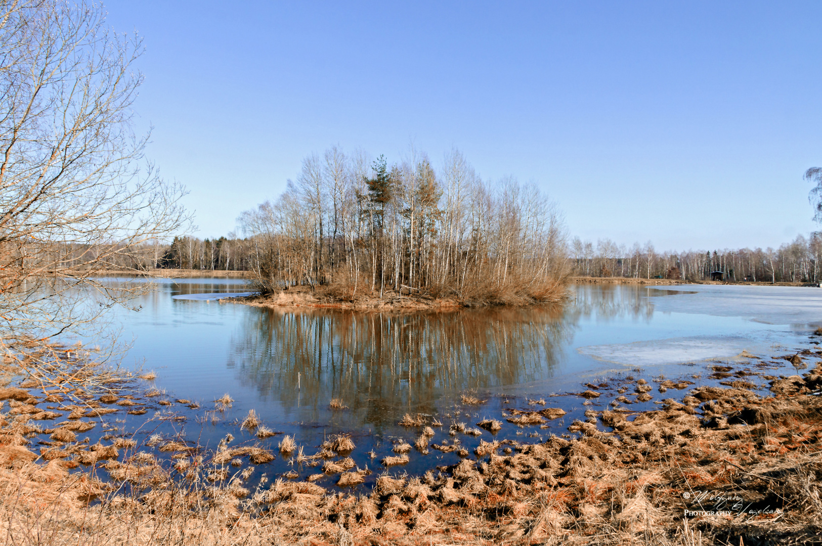 Plothener Teich Ende Februar