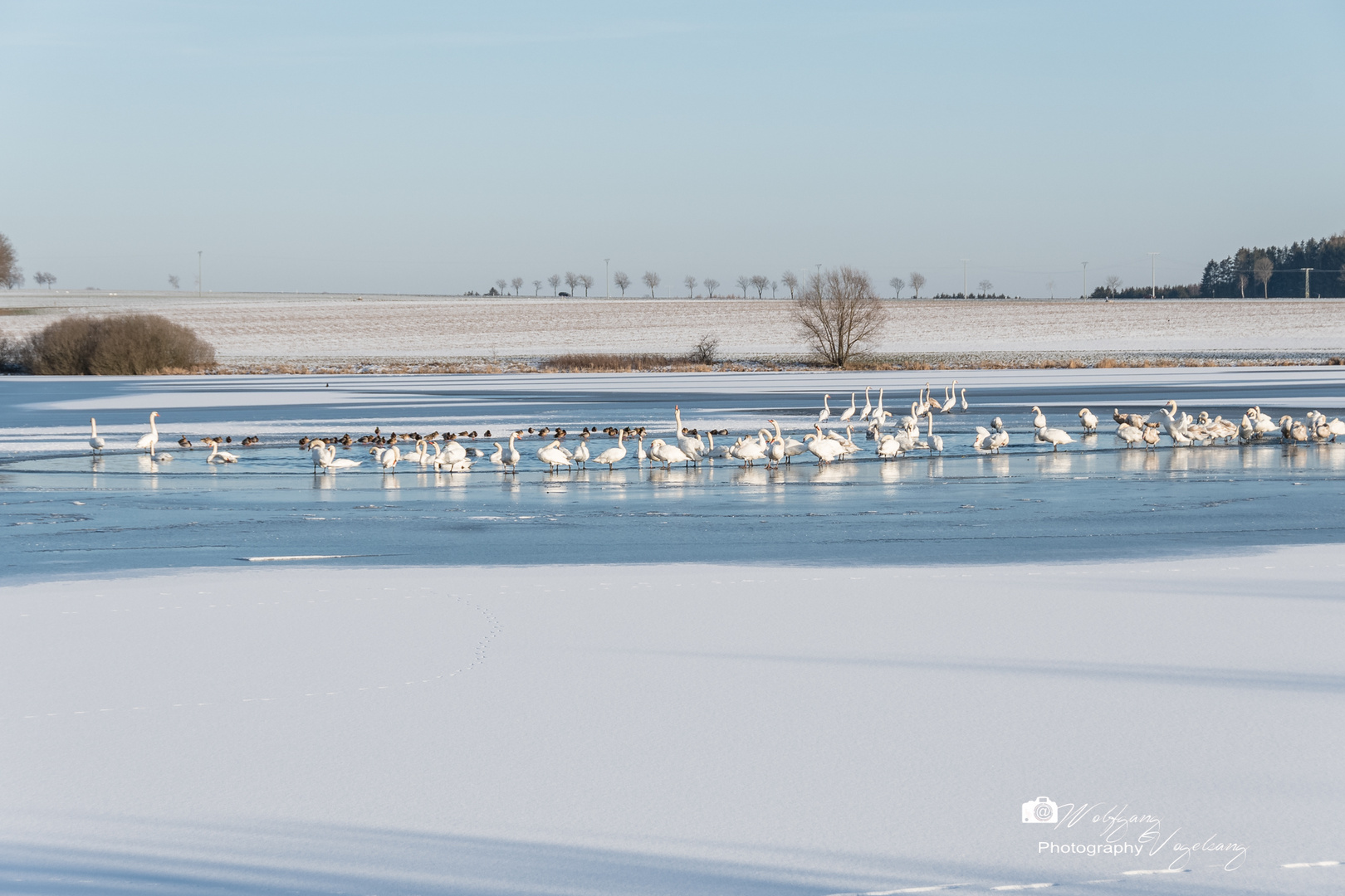 Plothener Teich im Winter