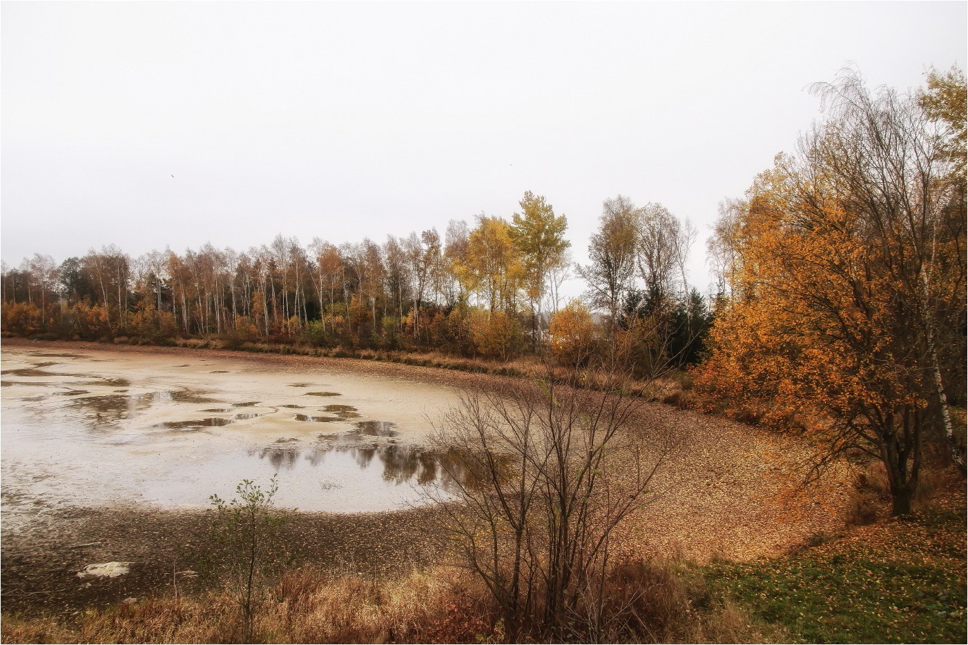 Plothener Teiche (1) Foto & Bild xtra, world, wald Bilder auf