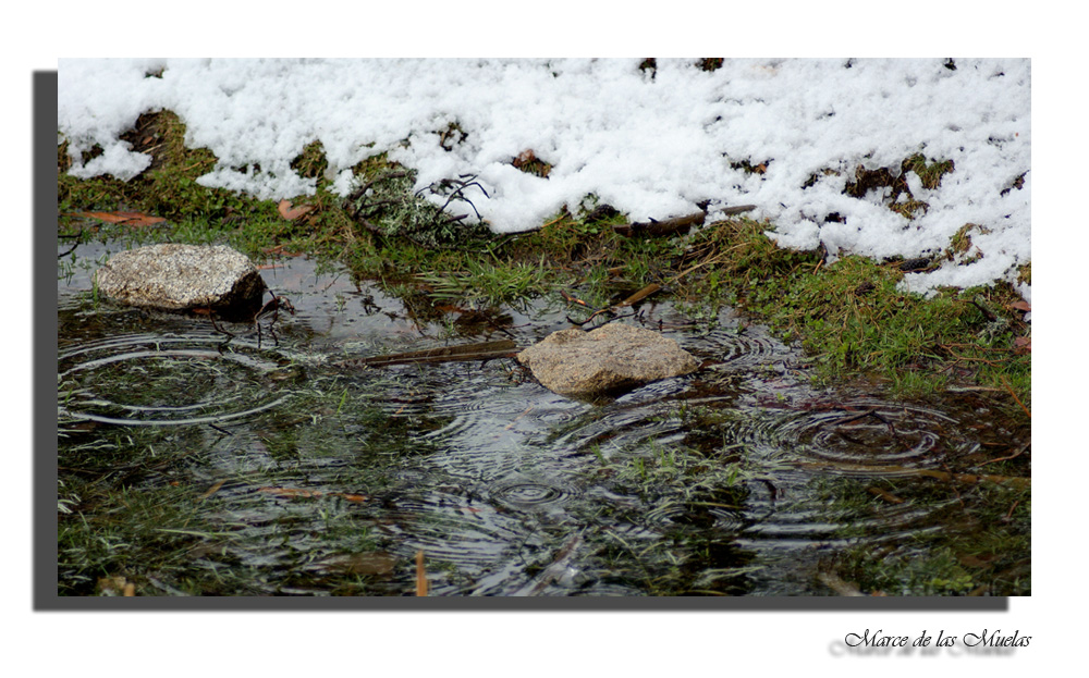 ...plou al cor....