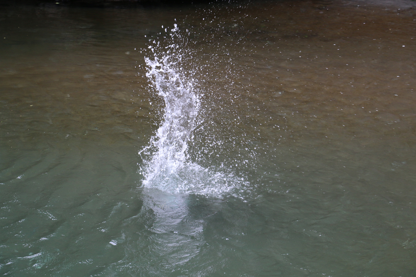 plouf... dans l'eau