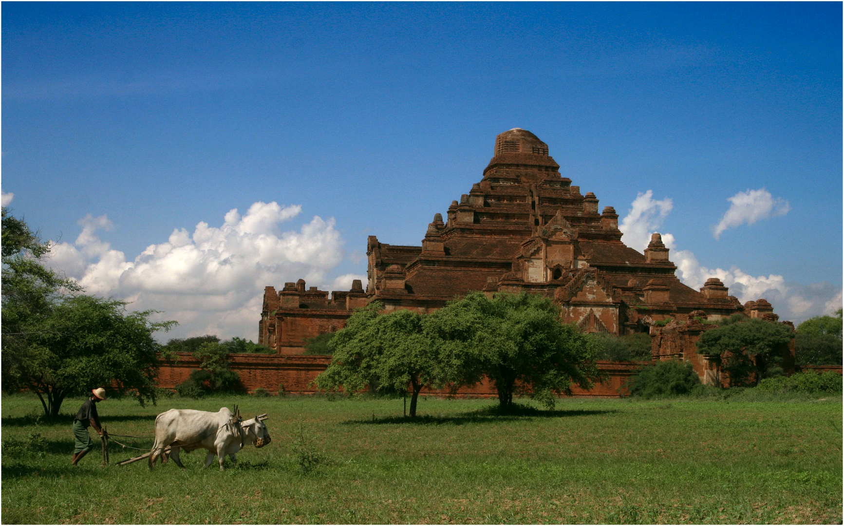 Plow and Temple