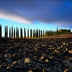 Plowed field in Tuscany