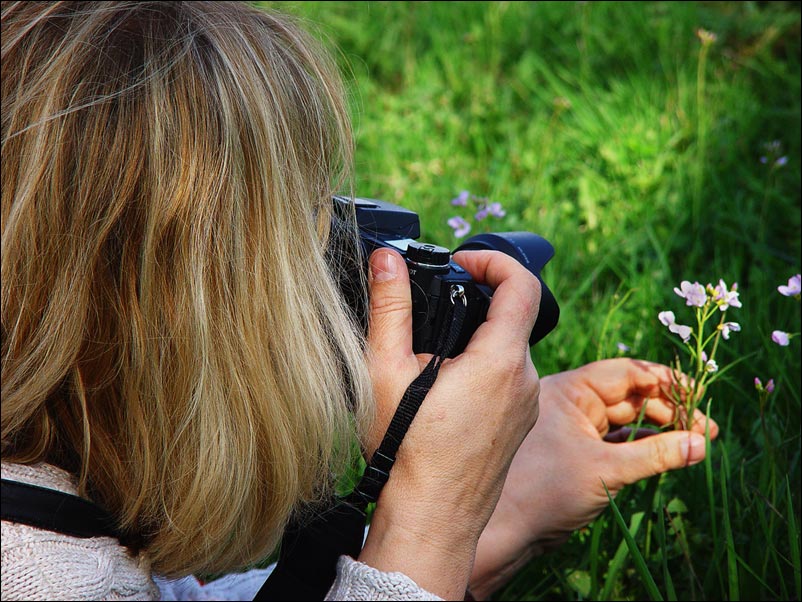 Plümchen Fotograf