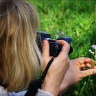 Plümchen Fotograf