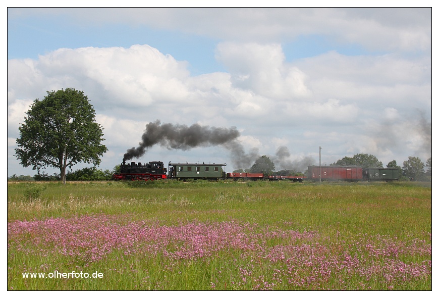 Plümchenwiese mit Kleinbahnzug