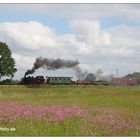 Plümchenwiese mit Kleinbahnzug