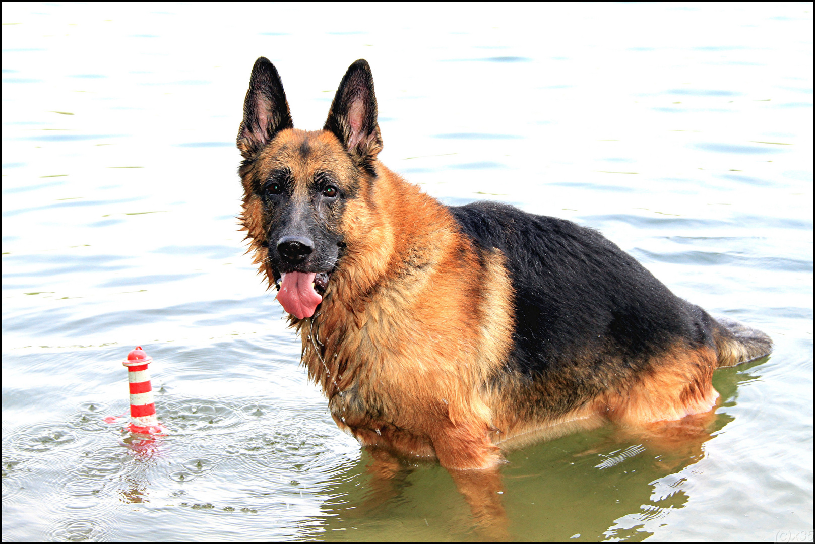 Plüsch am Großsee baden_1