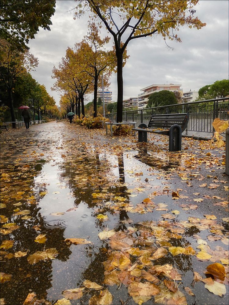 Pluie d'automne 