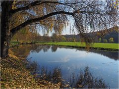 Pluie de feuilles sur l’étang de la Sonnette