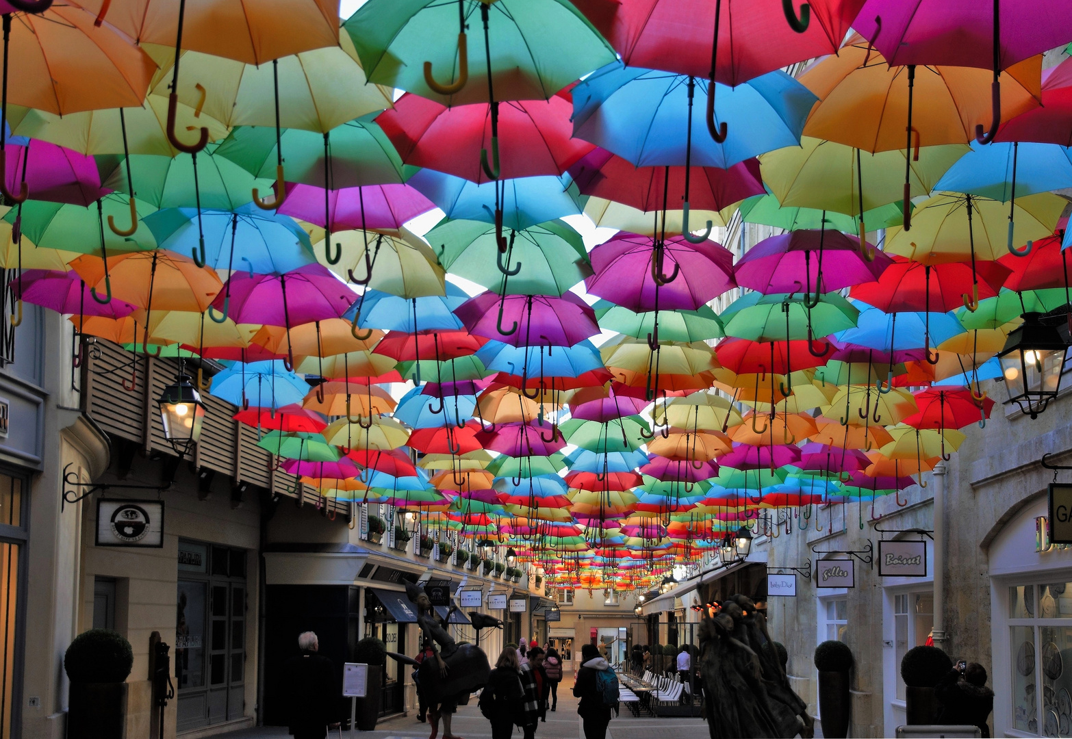 Pluie de parapluies