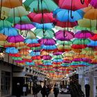 Pluie de parapluies