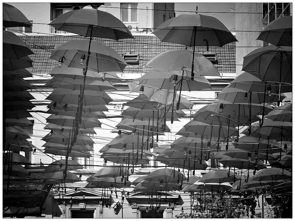 Pluie de parapluies 