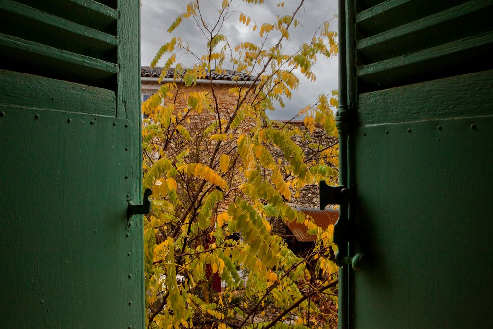 Pluie en automne