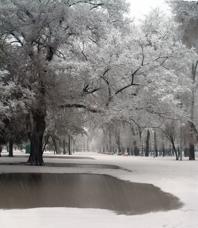 Pluie et la neige