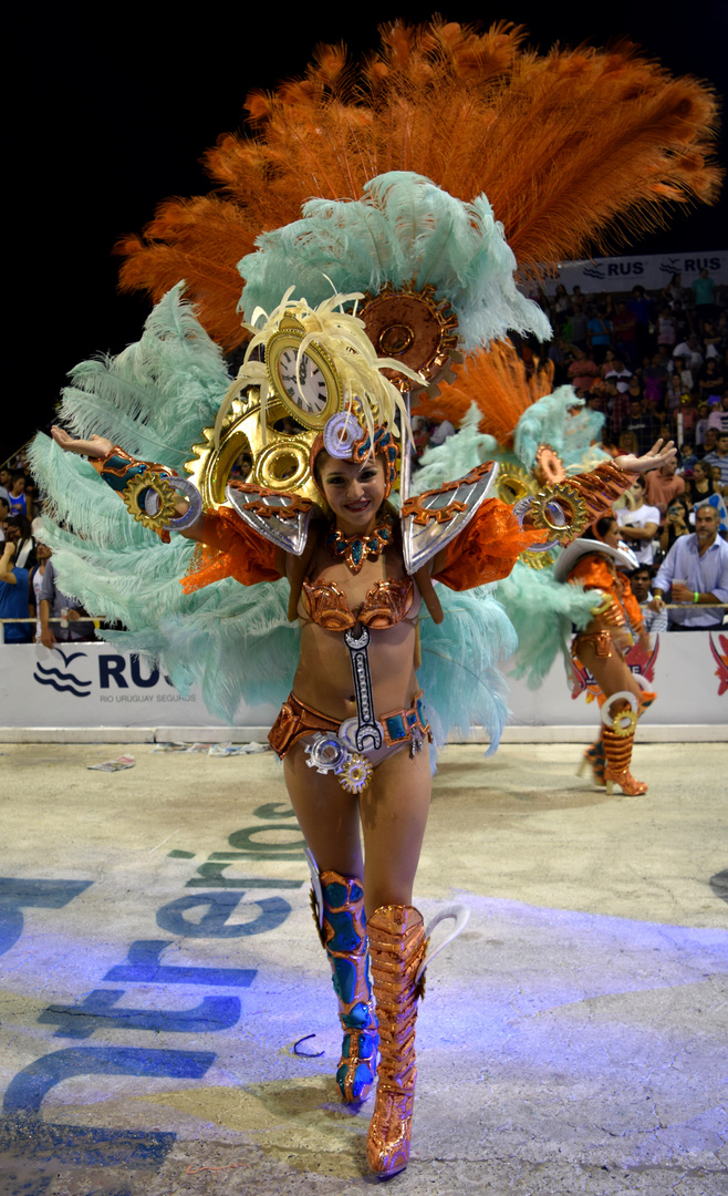 Plumas en el Carnaval del País