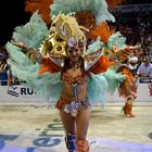 Plumas en el Carnaval del País