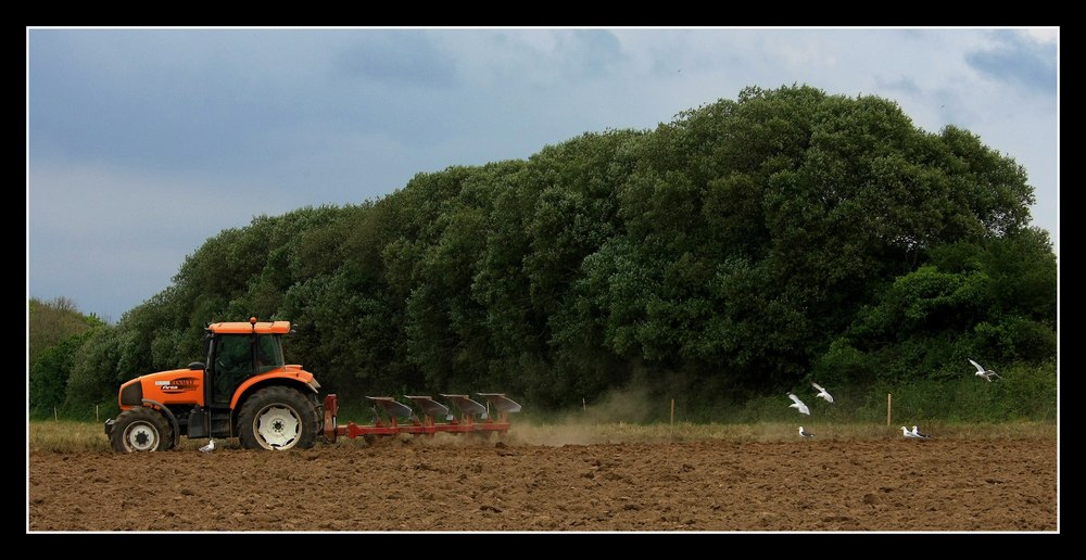 " Plus facile de pêcher derrière un tracteur, que derrière un chalutier "