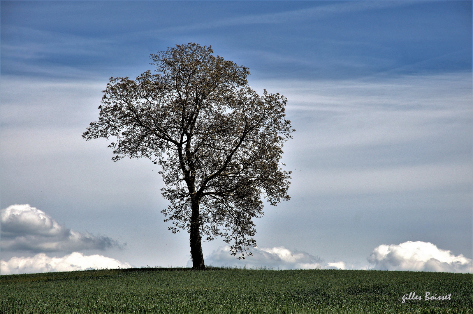 plus haut que les nuages