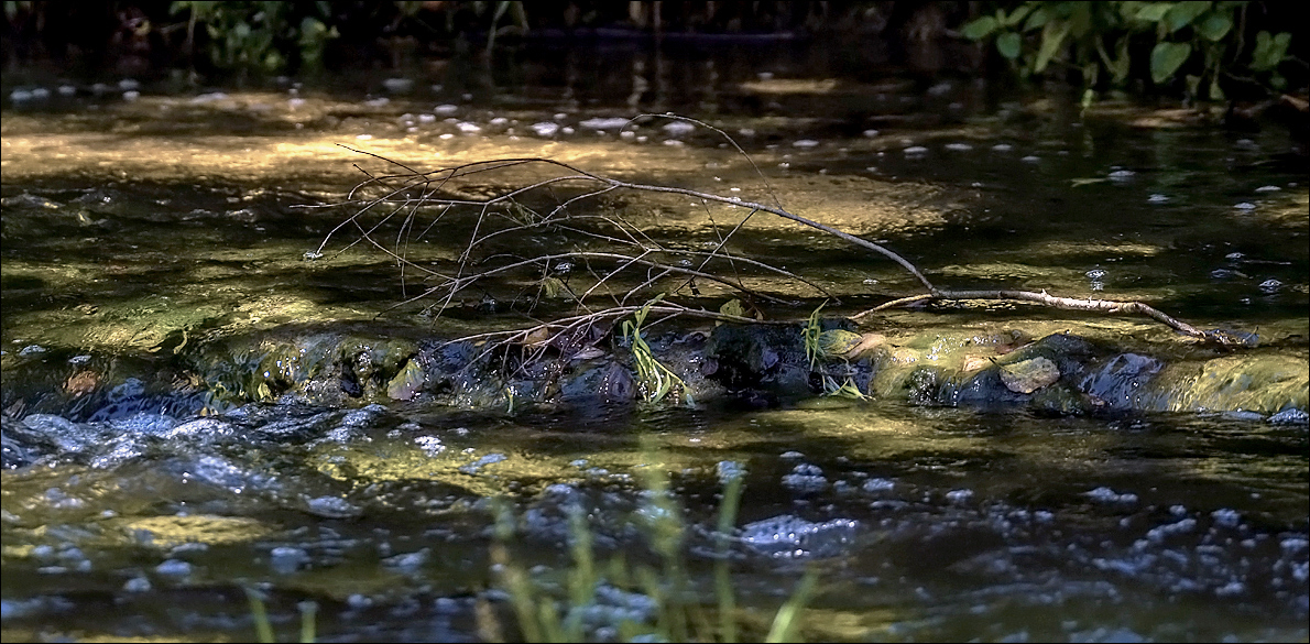 Plus prés de la rivière,son eau claire et ses pierres 