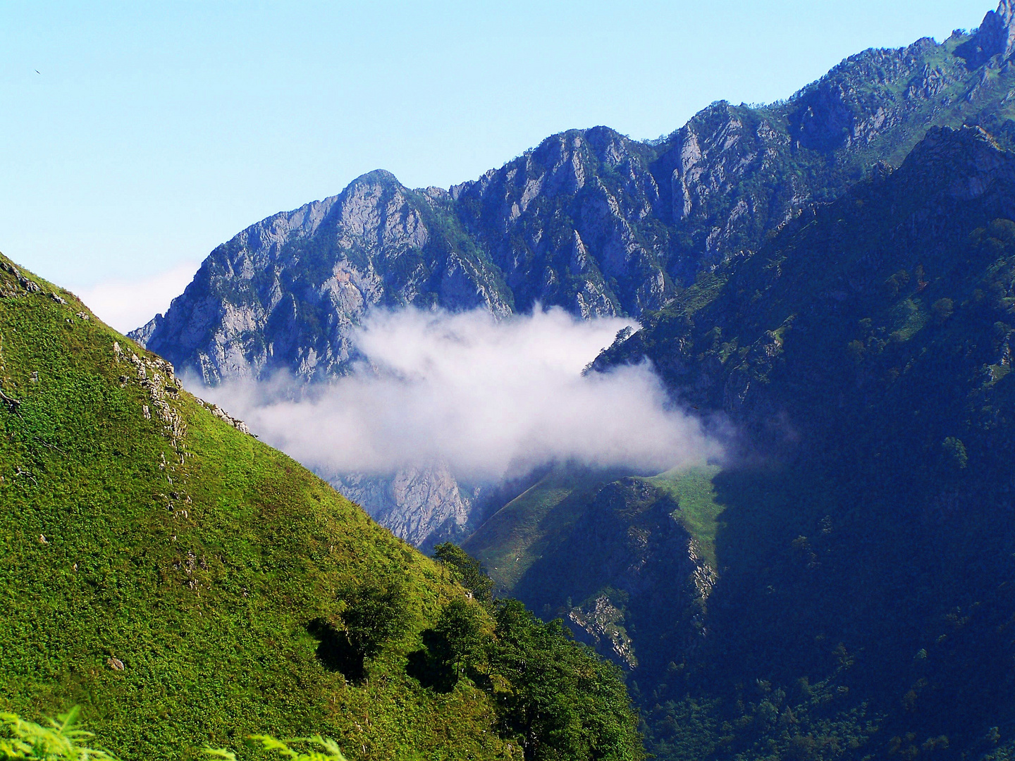 Plus près des nuages