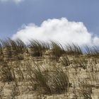 plus près des nuages !