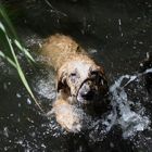 Plutos erste Schwimmversuche