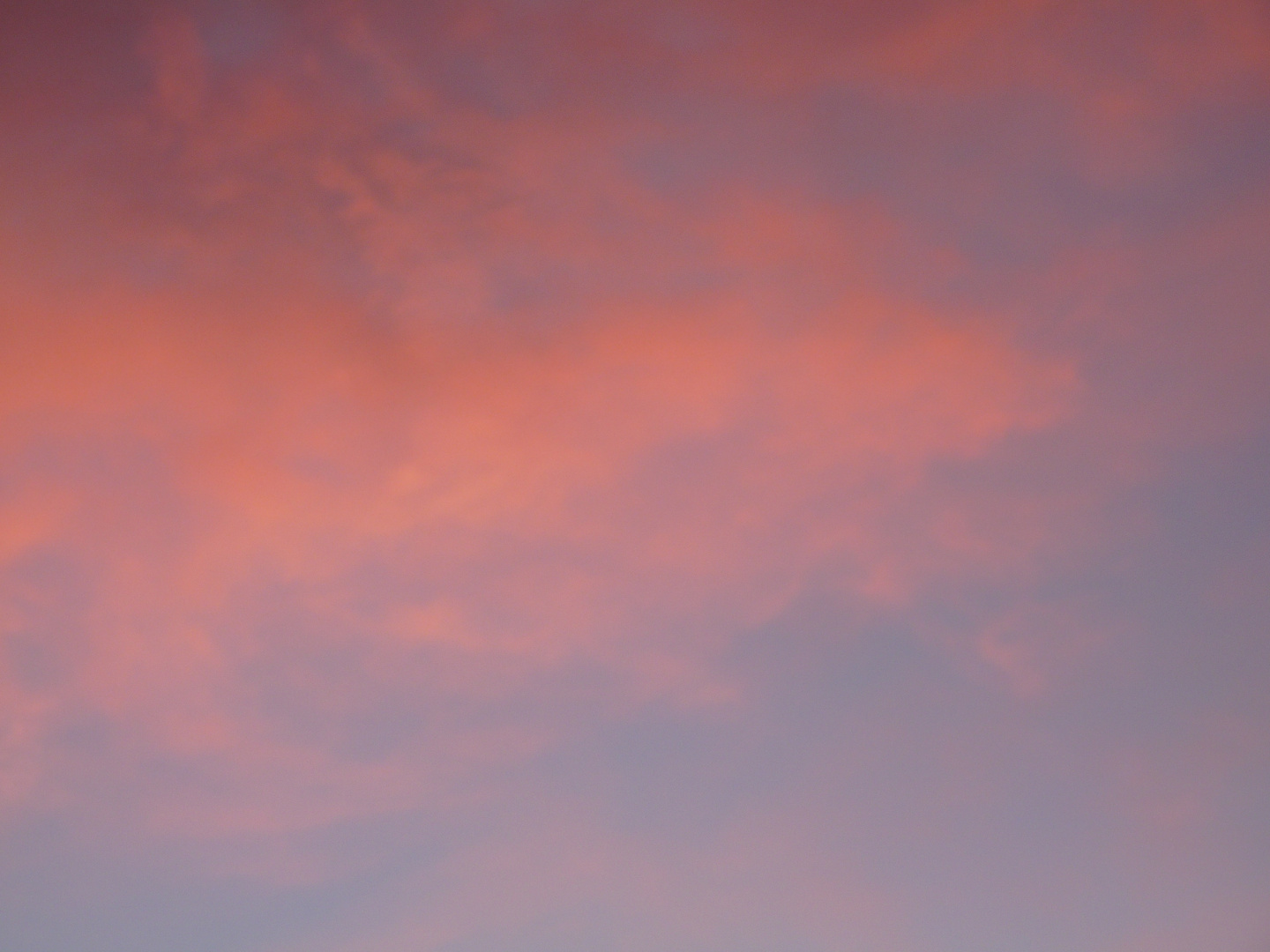 Plutôt bleu ou plutôt Rose ?