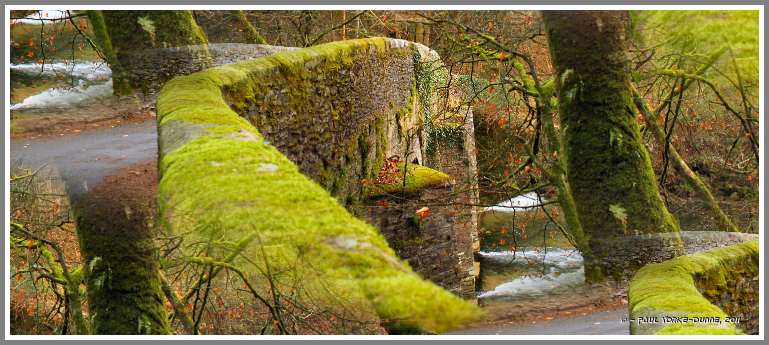 Plym River Bridge