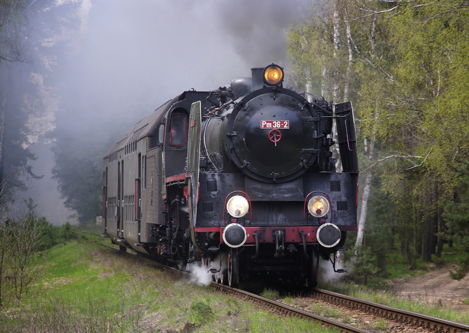 Pm36-2 wenige Minuten vor Leszno, 2011