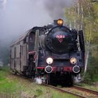 Pm36-2 wenige Minuten vor Leszno, 2011