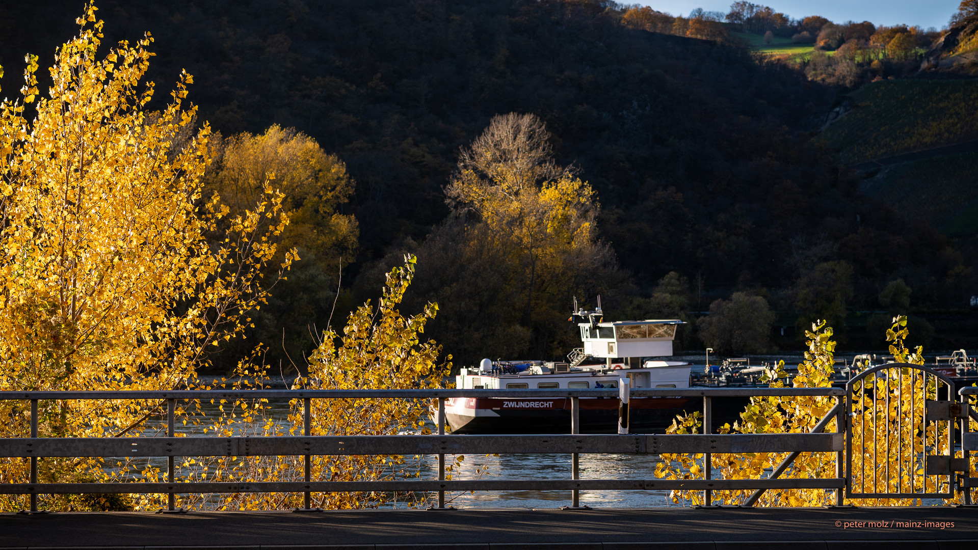 _PMZ0493-20201118 Mittelrheintal_Kaub-Lorchhausen_Schiff+Herbstfarben_FC_2600px