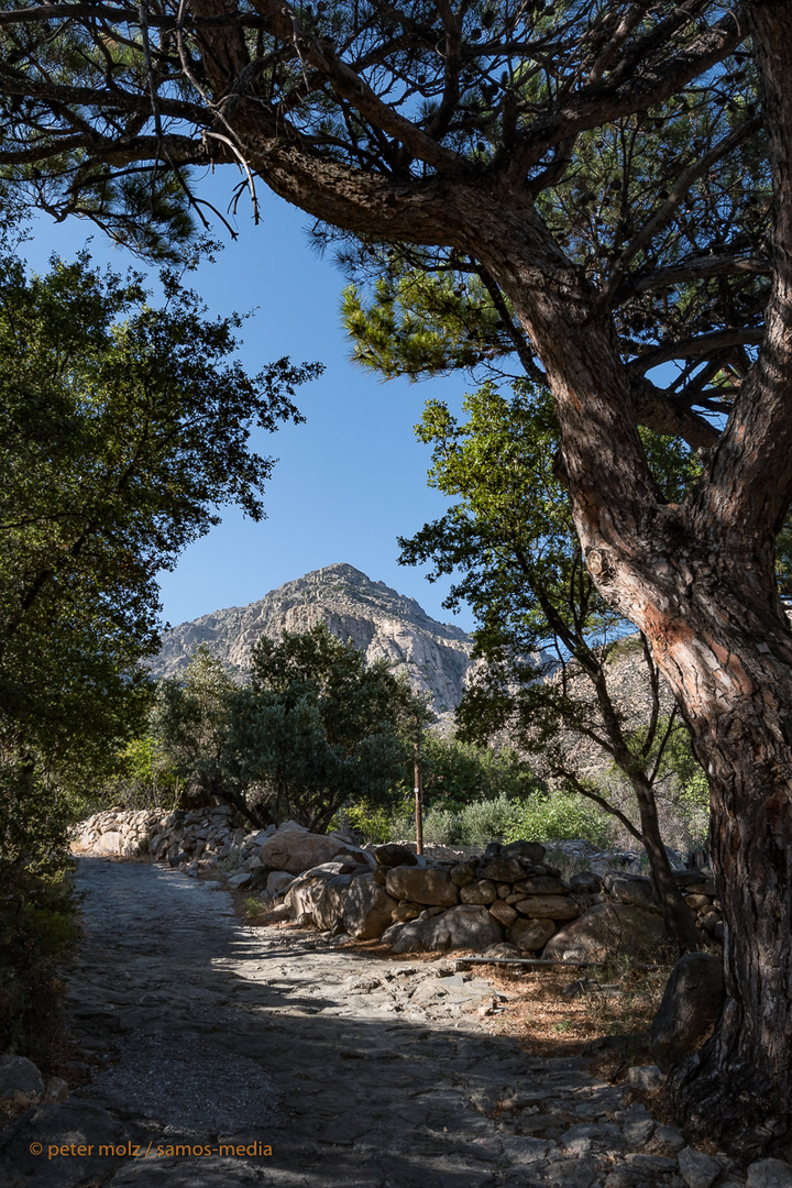 _PMZ2442-20180605-Ikaria_Trapalou_Weg_Baum_Atherasgebirge_1200px