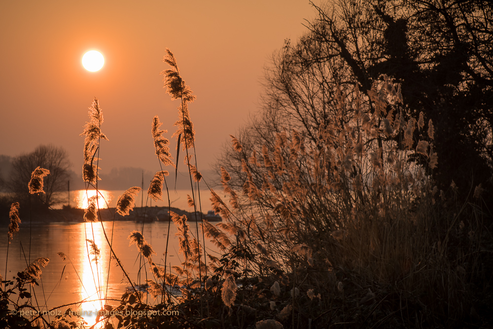 _PMZ6073-20170122-Eltville_Rheinufer_Leinpfad_tiefstehende_Sonne_1000px