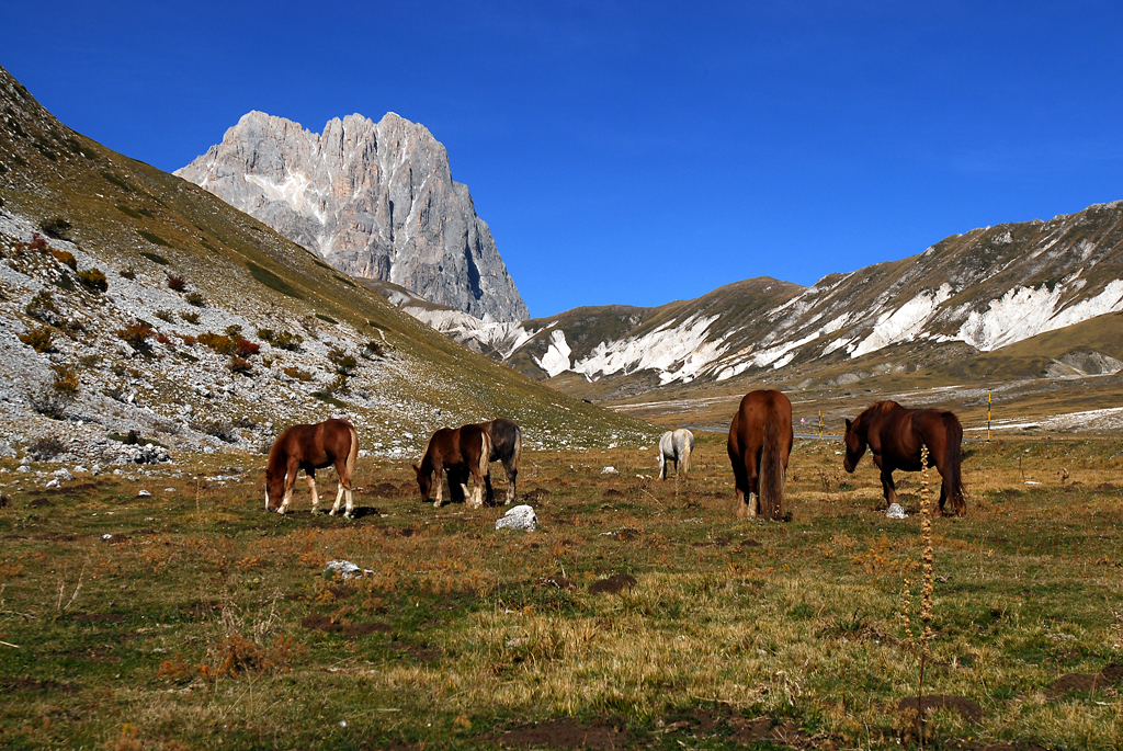 pn del gran sasso 2