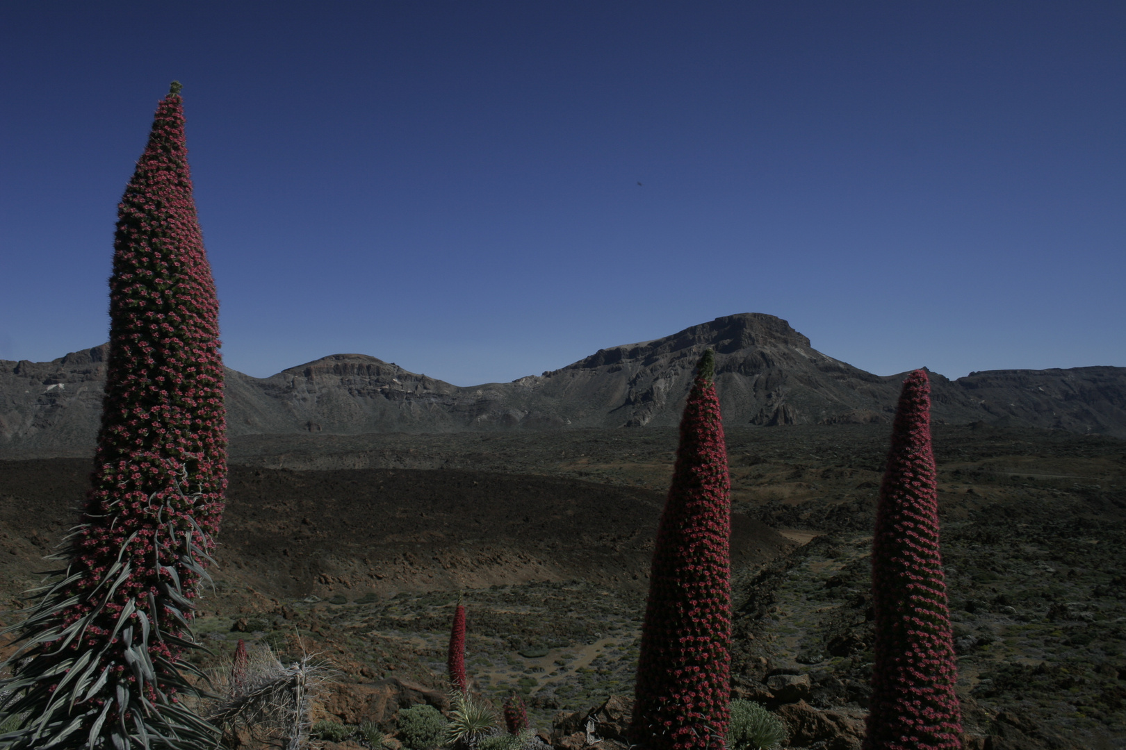 P.N. del Teide