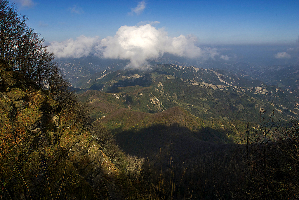 pn foreste casentinesi